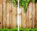 Pikkukuva 2 / 11: LASINEN LEIKKUULAUTA 2 x 30x52 PUUTA