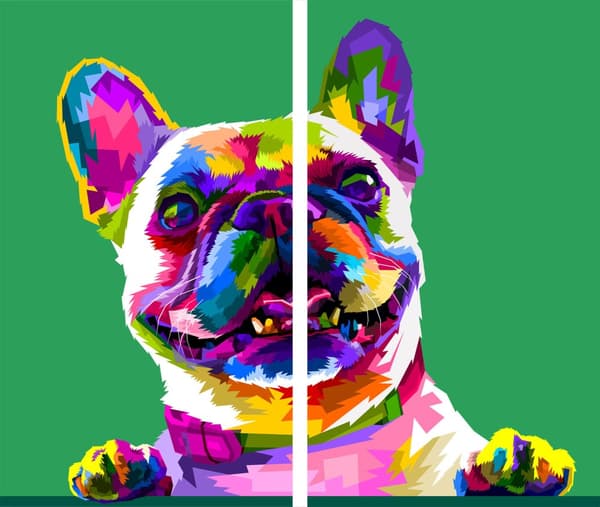 SKÄRBRÄDOR I GLAS 2x 30x52 HUND