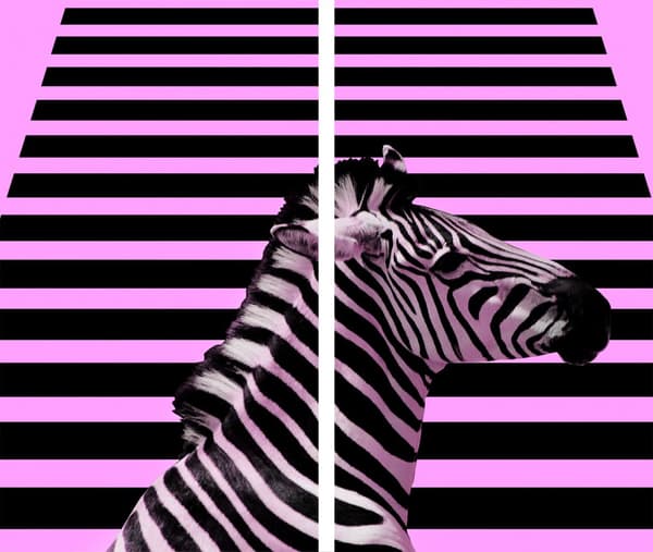 GLAS SKÄRBRÄDOR 2x 30x52 ZEBRA