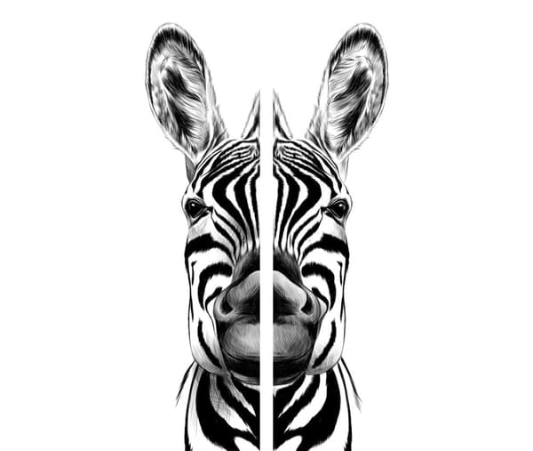 GLAS SKÆREBRÆT 2x 30x52 ZEBRA