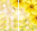 Miniatyrbild 2 av 11: GLAS SKÄRBRÄDA 2x 30x52 BLOMMOR