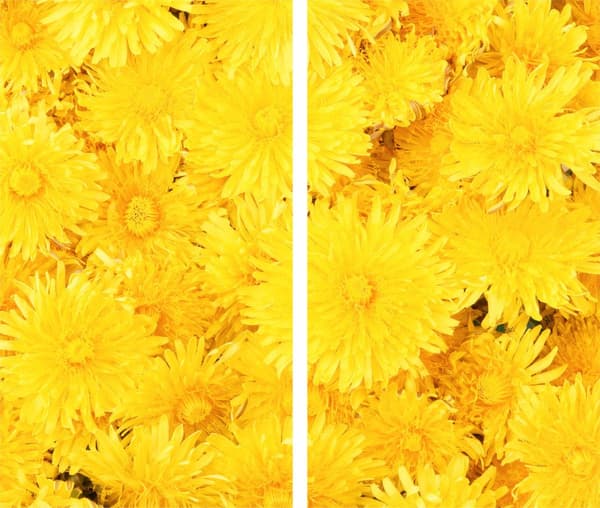 GLAS SKÆREBRÆT 2x 30x52 BLOMSTER