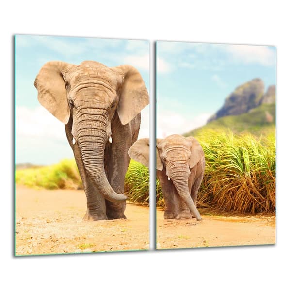GLAS SKÆREBRÆT 2x 30x52 ELEFANT