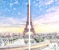 Miniatyrbillede 2 af 11: GLAS SKÆREBRÆT 2x 30x52 PARIS
