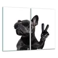Miniatyrbillede 1 af 11: GLAS SKÆREBRÆT 2x 30x52 HUND