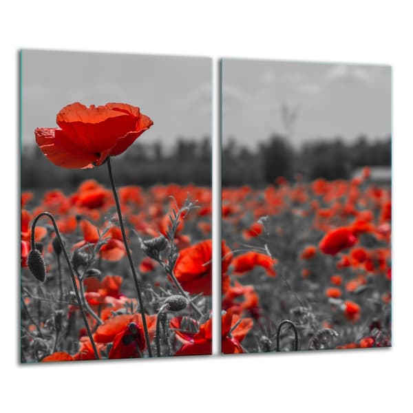 GLAS SKÆREBRÆT 2x 30x52 BLOMSTER