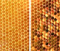 Miniatyrbild 2 av 11: GLAS SKÄRBRÄDA 2x 30x52 MOSAIK