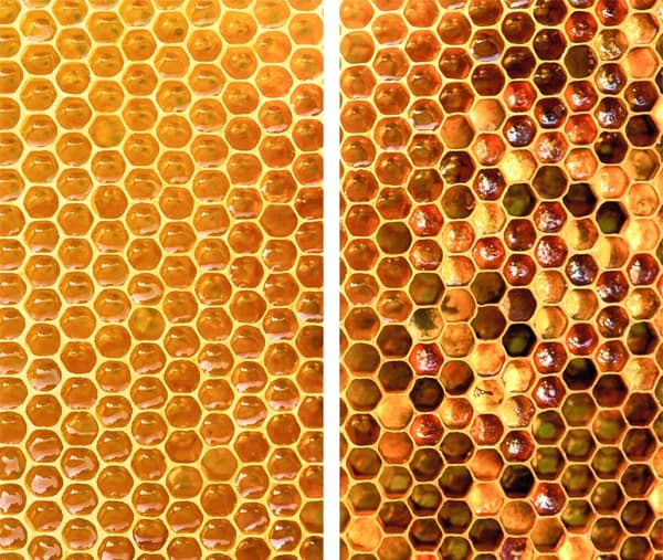 GLAS SKÄRBRÄDA 2x 30x52 MOSAIK