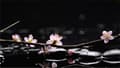 Miniatyrbillede 2 af 11: SKÆREBRÆT I GLAS 52x30 BLOMSTER