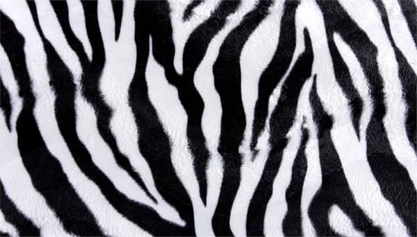 SKÄRBRÄDA I GLASPLATTA 52x30 ZEBRA