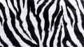 Miniatyrbild 2 av 11: SKÄRBRÄDA I GLASPLATTA 52x30 ZEBRA