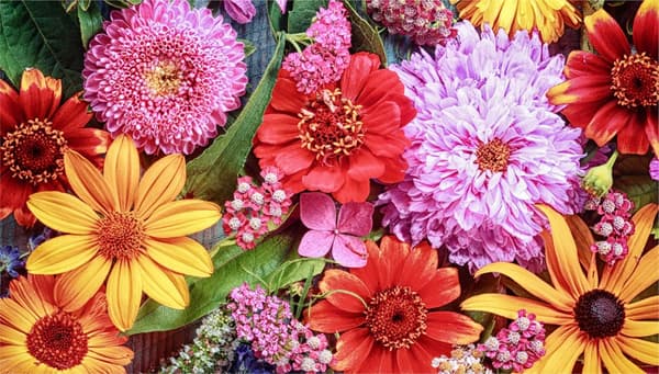 SKÄRBRÄDA I GLAS 52x30 BLOMMOR
