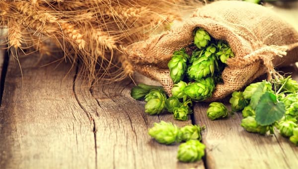 SKÄRBRÄDA I GLAS 52x30 HOPS
