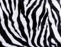 Miniatyrbillede 2 af 11: SKÆREBRÆT I GLAS 52x40 ZEBRA