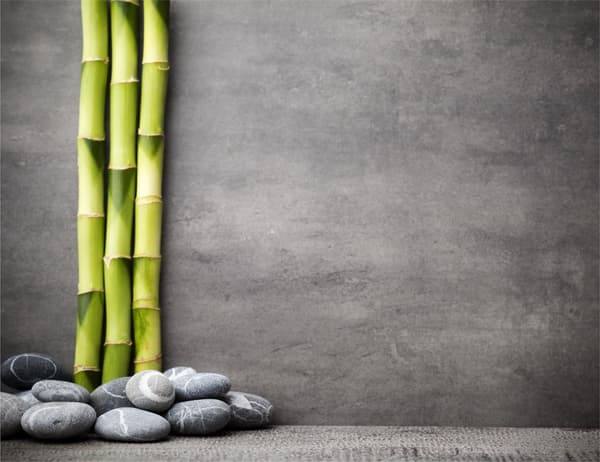 LASILEIKKUULAUTA 52x40 BAMBU