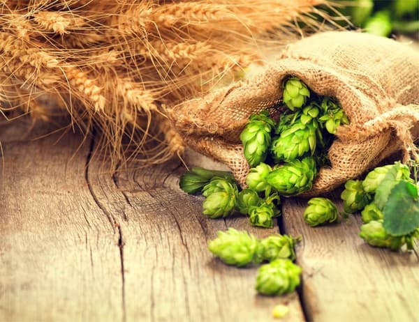 LASILEIKKUULAUTA 52x40 HOPS