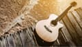 Miniatyrbild 2 av 11: SKÄRBRÄDA I GLASPLATTA 52x30 GITARR