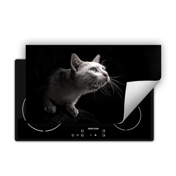 VINYLSPISÖVERDRAG? BORDSKIVA 90x52 Svart katt