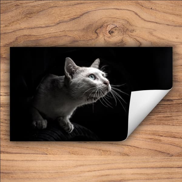 VINYLSPISÖVERDRAG? BORDSKIVA 90x52 Svart katt