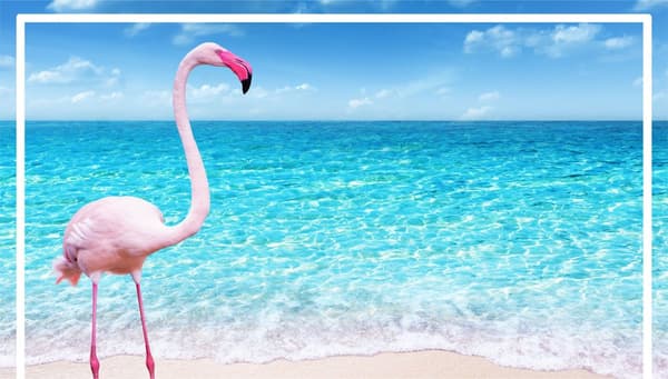 SKÄRBRÄDA I GLAS 52x30 FLAMINGO