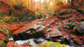 Miniatyrbild 2 av 11: SKÄRBRÄDA I GLASPLATTA 52x30 LANDSKAP