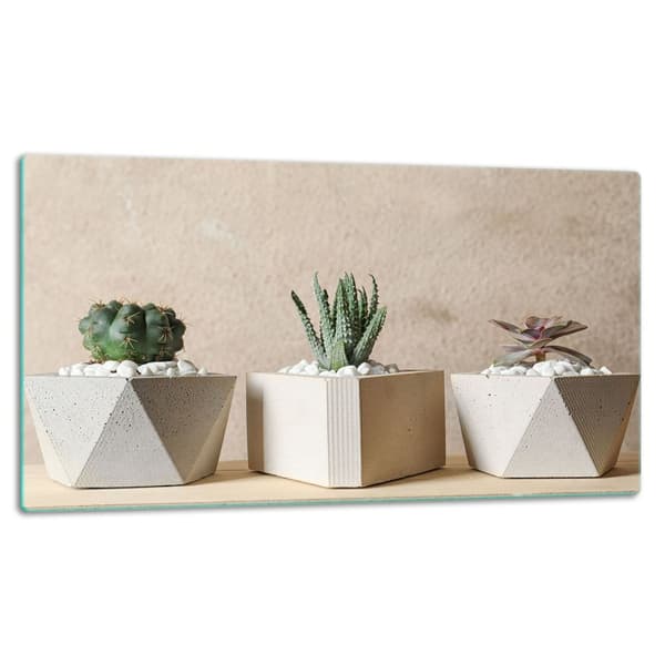 SKÆREBRÆT I GLAS 52x30 KAKTUS