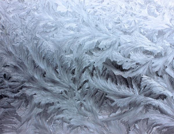 SKÄRBRÄDA I GLAS 52x40 FROST