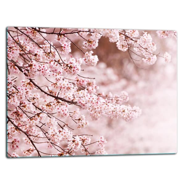 SKÄRBRÄDA I GLAS 52x40 BLOMMOR