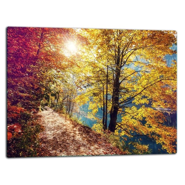 SKÄRBRÄDA I GLASPLATTA 52x40 LANDSKAP