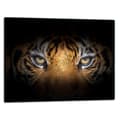 Miniatyrbillede 1 af 11: GLAS SKÆREBRÆT 52x40 TIGER