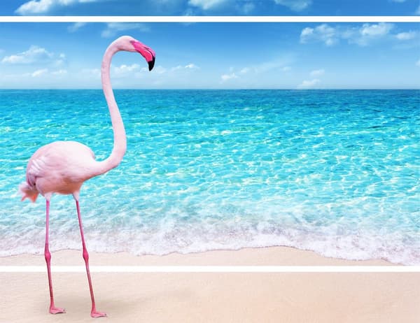 SKÄRBRÄDA I GLAS 52x40 FLAMINGO