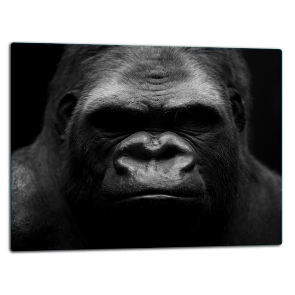 SKÄRBRÄDA I GLAS 52x40 GORILLA