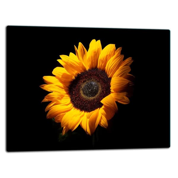 SKÆREBRÆT I GLAS 52x40 BLOMST