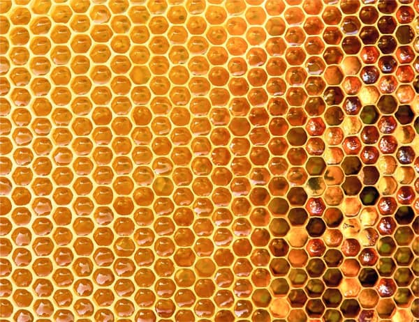 SKÆREBRÆT I GLAS 52x40 HONNING