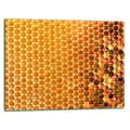 Miniatyrbild 1 av 11: SKÄRBRÄDA I GLAS 52x40 HONUNG