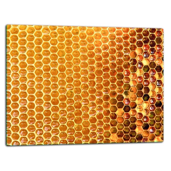SKÄRBRÄDA I GLAS 52x40 HONUNG
