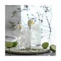 Miniatyrbild 3 av 5: Glasset Inde Bodega 515 ml (8 antal)