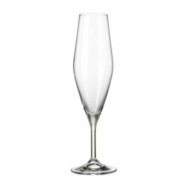 Champagneglas Bohemia Crystal Galaxia 210 ml champagne 6 Delar (6 antal) (4 antal)