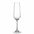 Miniatyrbild 2 av 2: Champagneglas Bohemia Crystal Sira 200 ml champagne 6 Delar (6 antal) (4 antal)