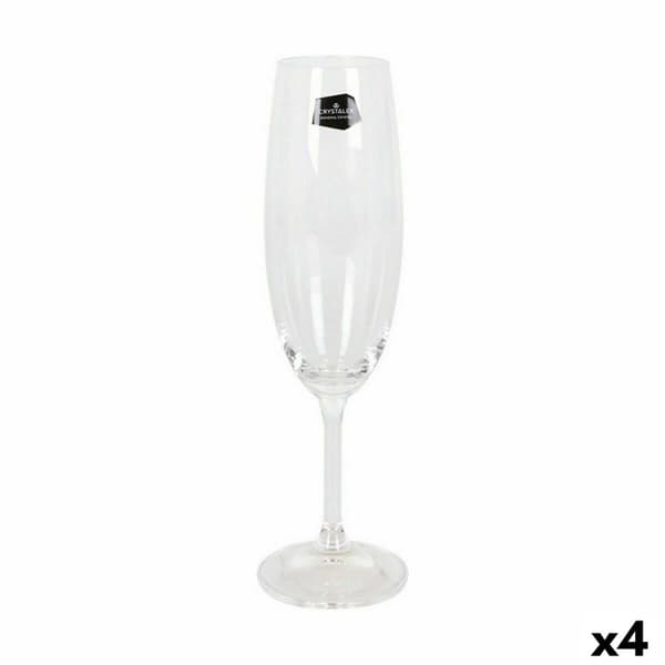 Champagneglas Crystalex Lara Glas 220 ml Champagne 6 Delar (6 antal) (4 antal)