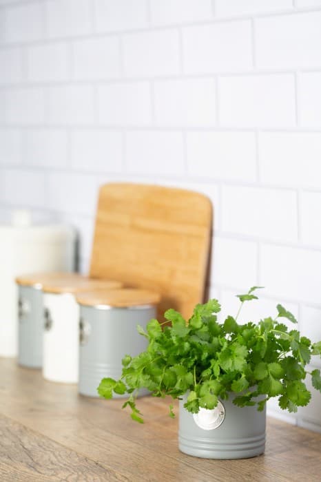 TYPE - Urtepotteskjuler, grå, Living