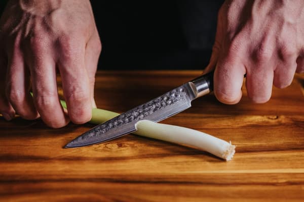 Shiori 撓 Chairo Murō - universal kniv