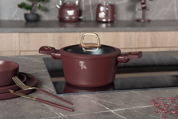 Titanium gryde med låg 20cm Berlinger Haus Bh-8040 Leonardo Lumarko!