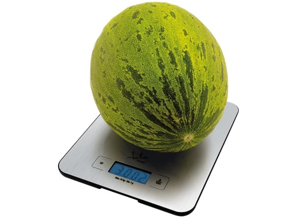 JATA 719, Elektronisk kjøkkenvekt, 15 kg, 1 g, Flerfarget, Rustfritt stål, Rektangel