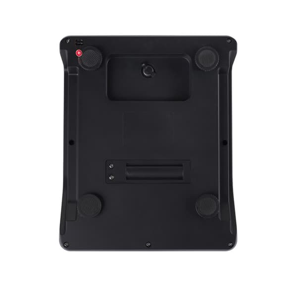 INF Elektronisk vektlading engelsk 15kg/1g
