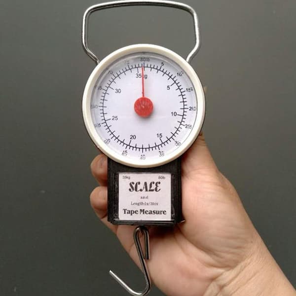 iINN® Bagagevåg Bärbar fjädervåg Lastning 35 kg Bagagevåg Expressvåg Hängvåg
