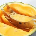 Miniatyrbild 2 av 4: Praktiskt Hållbar Melon Skärare/Skopare