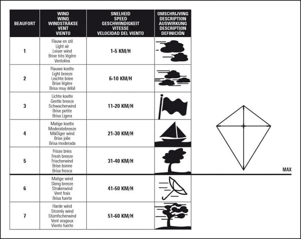 STUNT DRAGONFLY 51WC Diamond kite sloth