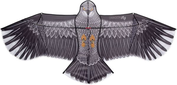 STUNT DRAGONFLY 51WL Kite Eagle Black/Anthracite