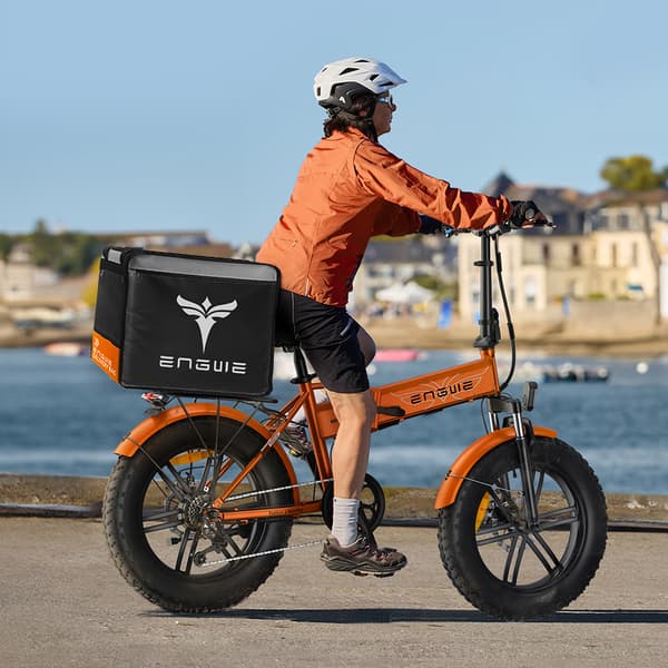 ENGWE EP-2 BOOST Elcykel För Vuxna 250W Motor Elcykel 48V13AH Batteri Hopfällbar Elcykel 20 Tums Elcykel med Feta Däck